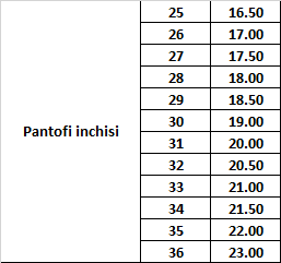 Pantofi tip tenisi cu siret, D.D.step, maro, 043-511B